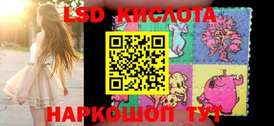 СК Камышлов
