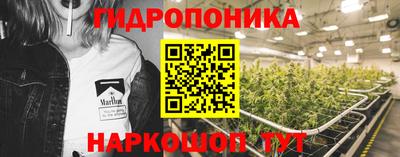 СК Камышлов