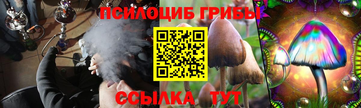 Псилоцибиновые грибы MAGIC MUSHROOMS  Вход с VPN  Златоуст 